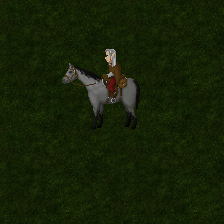 Caballo Gris