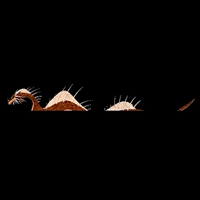 Leviatanes
