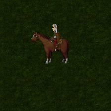 Caballo Marrón